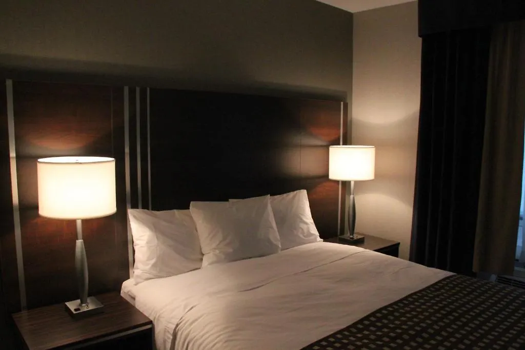 Comfort Inn Toronto City Centre מלון