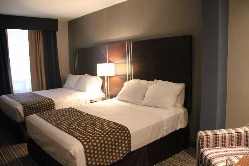 Comfort Inn Toronto City Centre מלון