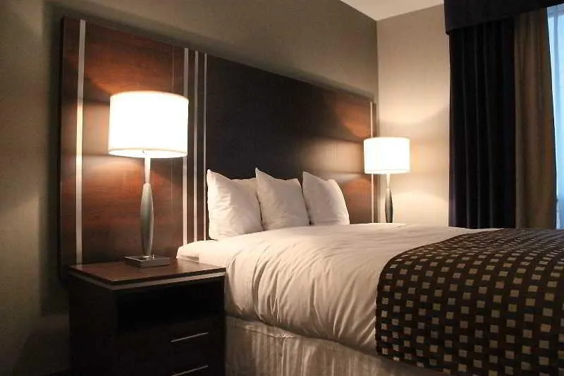 Comfort Inn Toronto City Centre מלון