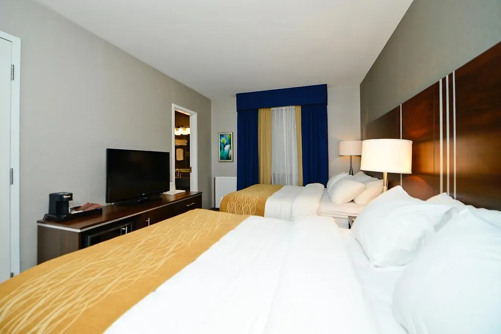 Comfort Inn Toronto City Centre 3*,