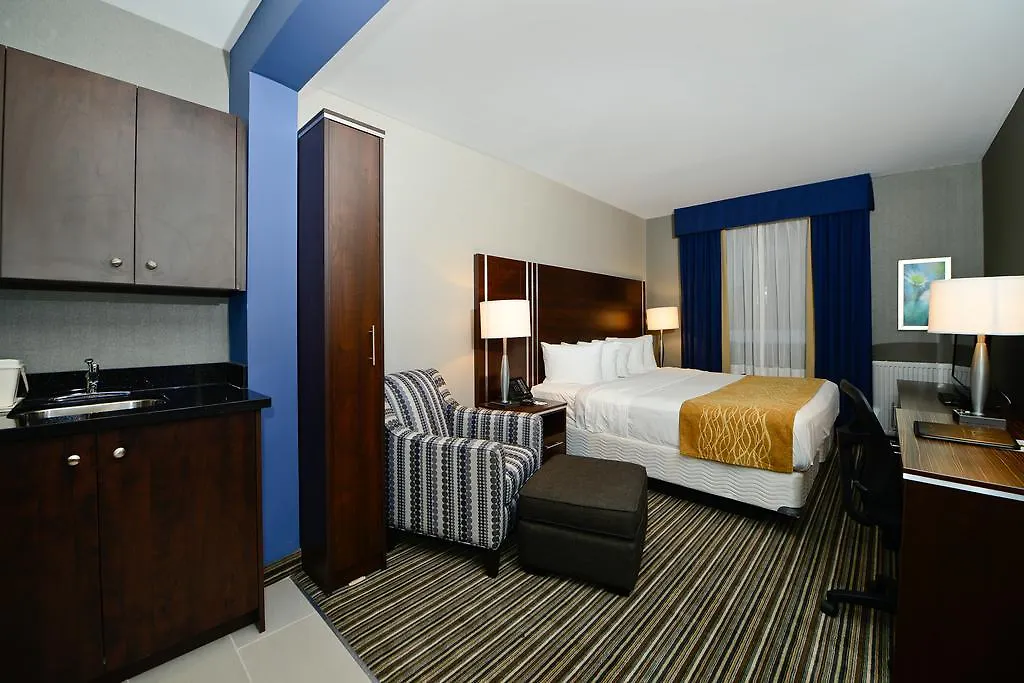 Comfort Inn Toronto City Centre מלון