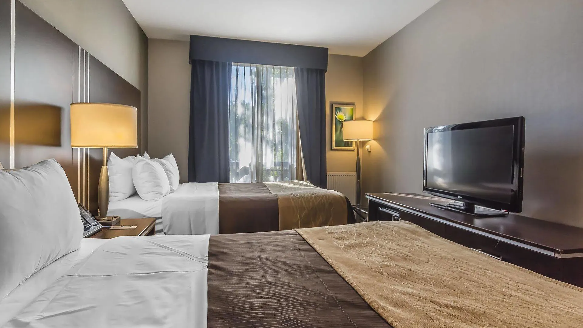 מלון Comfort Inn Toronto City Centre