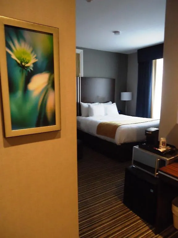 Comfort Inn Toronto City Centre מלון